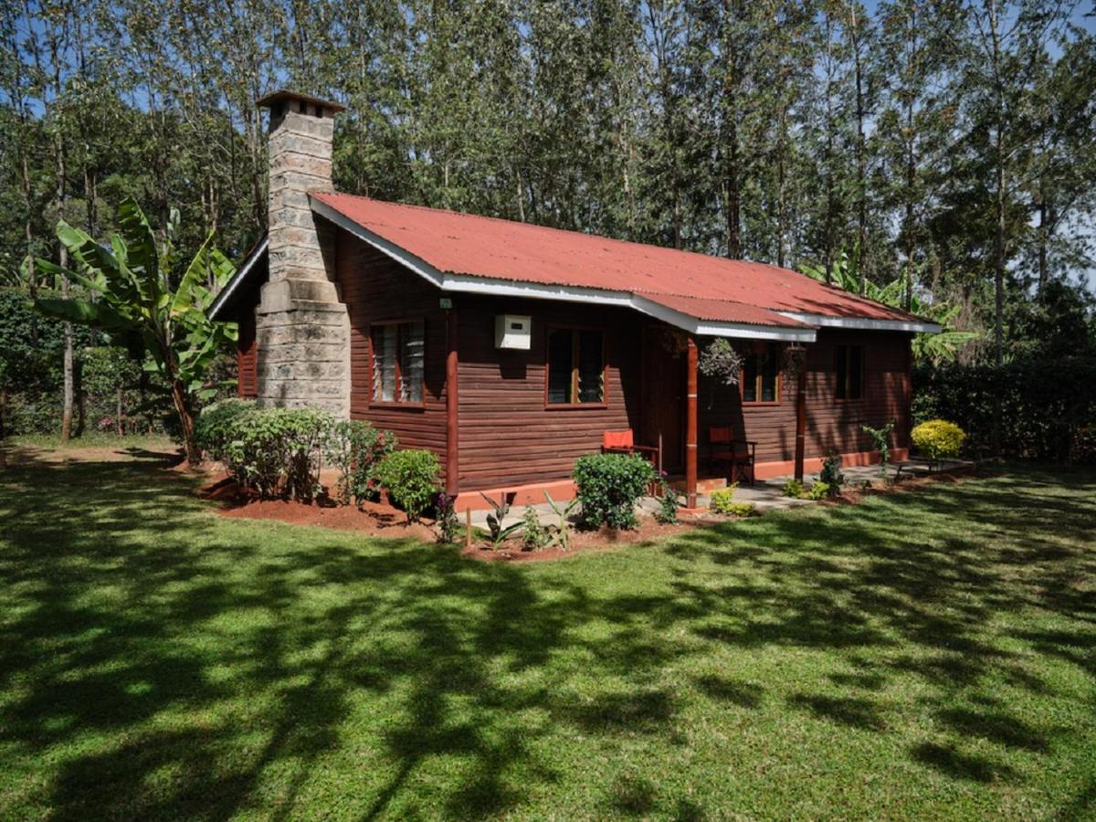 Hotel The Drexel House Kenya à Nairobi Extérieur photo